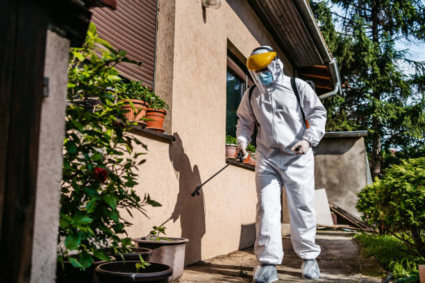 Wasp Removal Services in Hillsboro Beach, FL