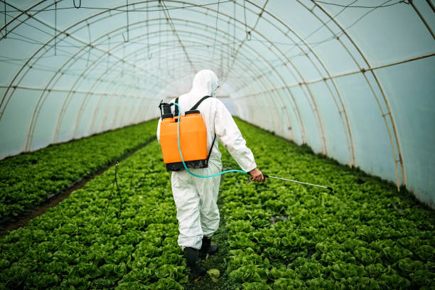 Best Pest Control Near Me  in Hillsboro Beach, FL