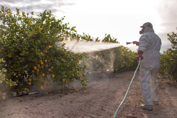 Best Pest Prevention Services  in Hillsboro Beach, FL